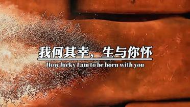 10 模范